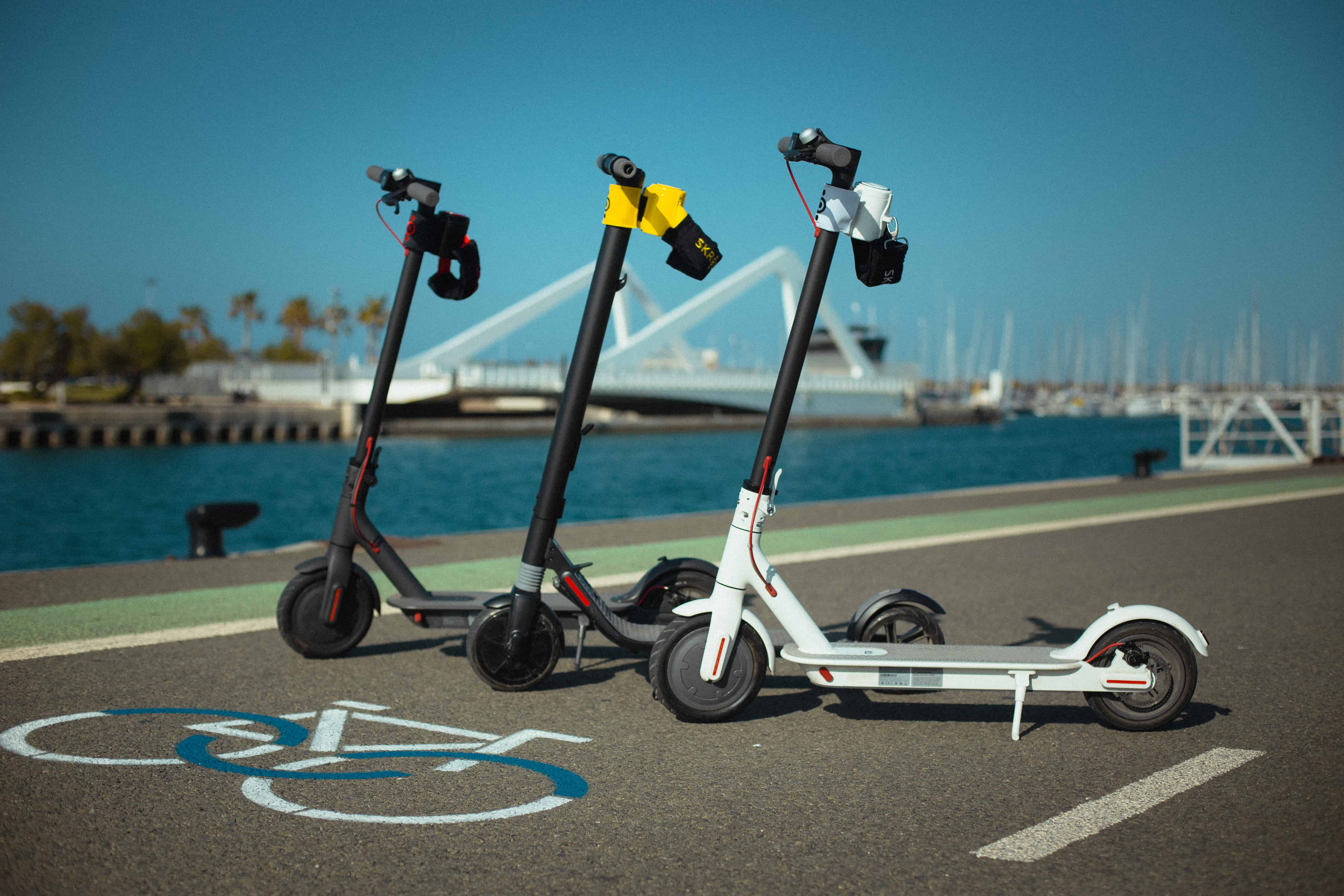 Skroller - The Backrest for E-Scooters