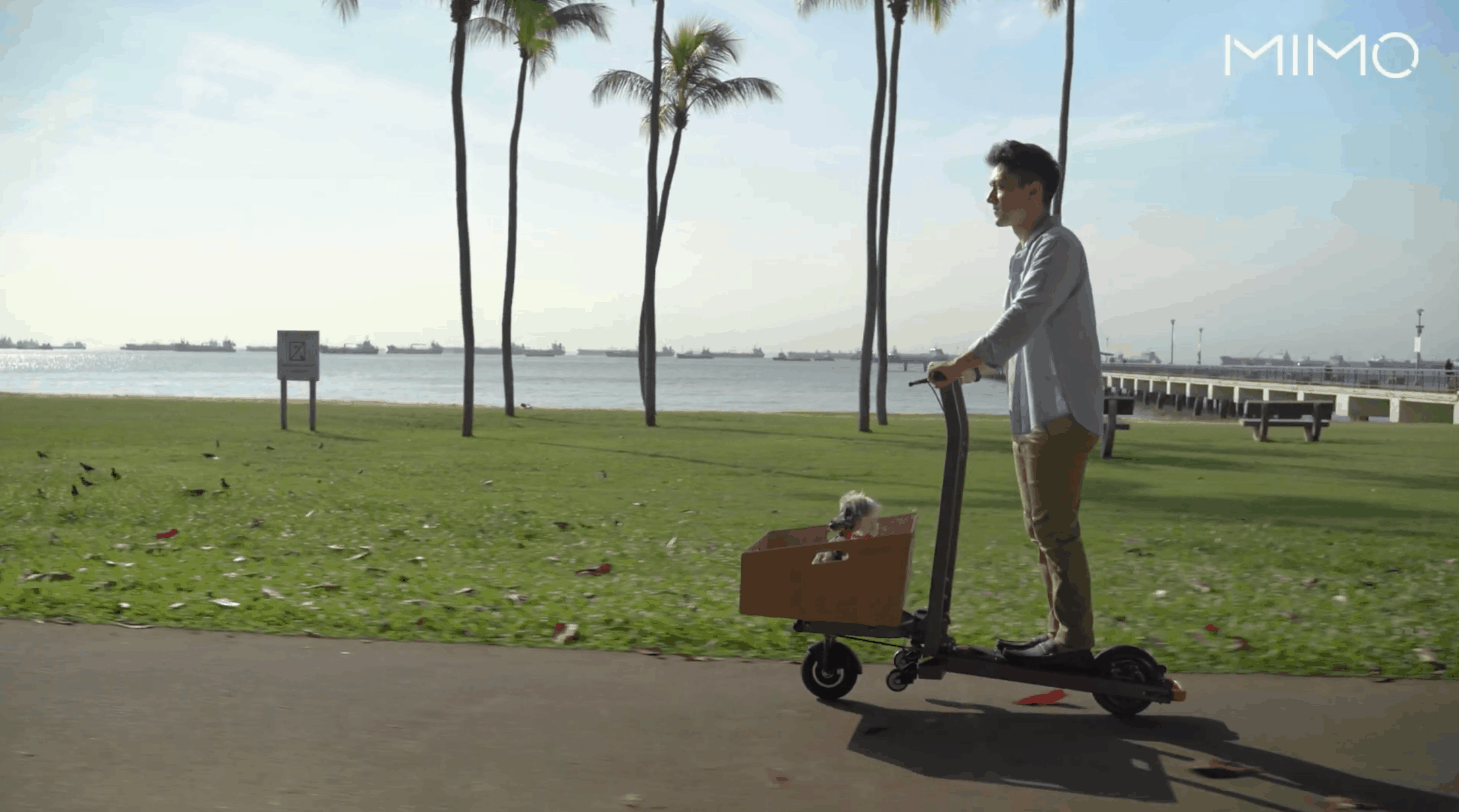 This Transforming E-Scooter Has a Built-in Cargo Area