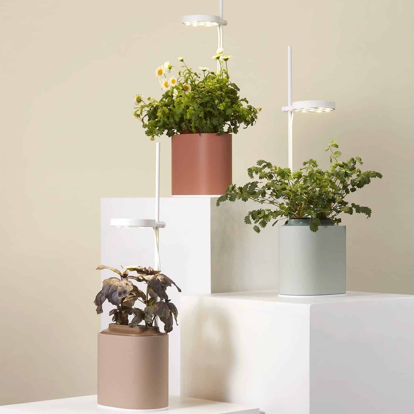 Nano Garden - The Easiest Way to Grow Plants at Home