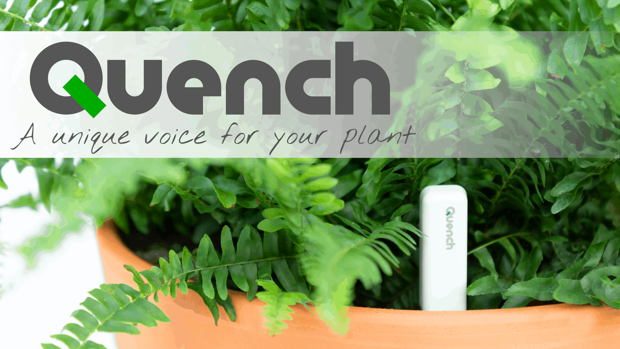 Give Your Plants a Voice with the Quench Moisture Meter