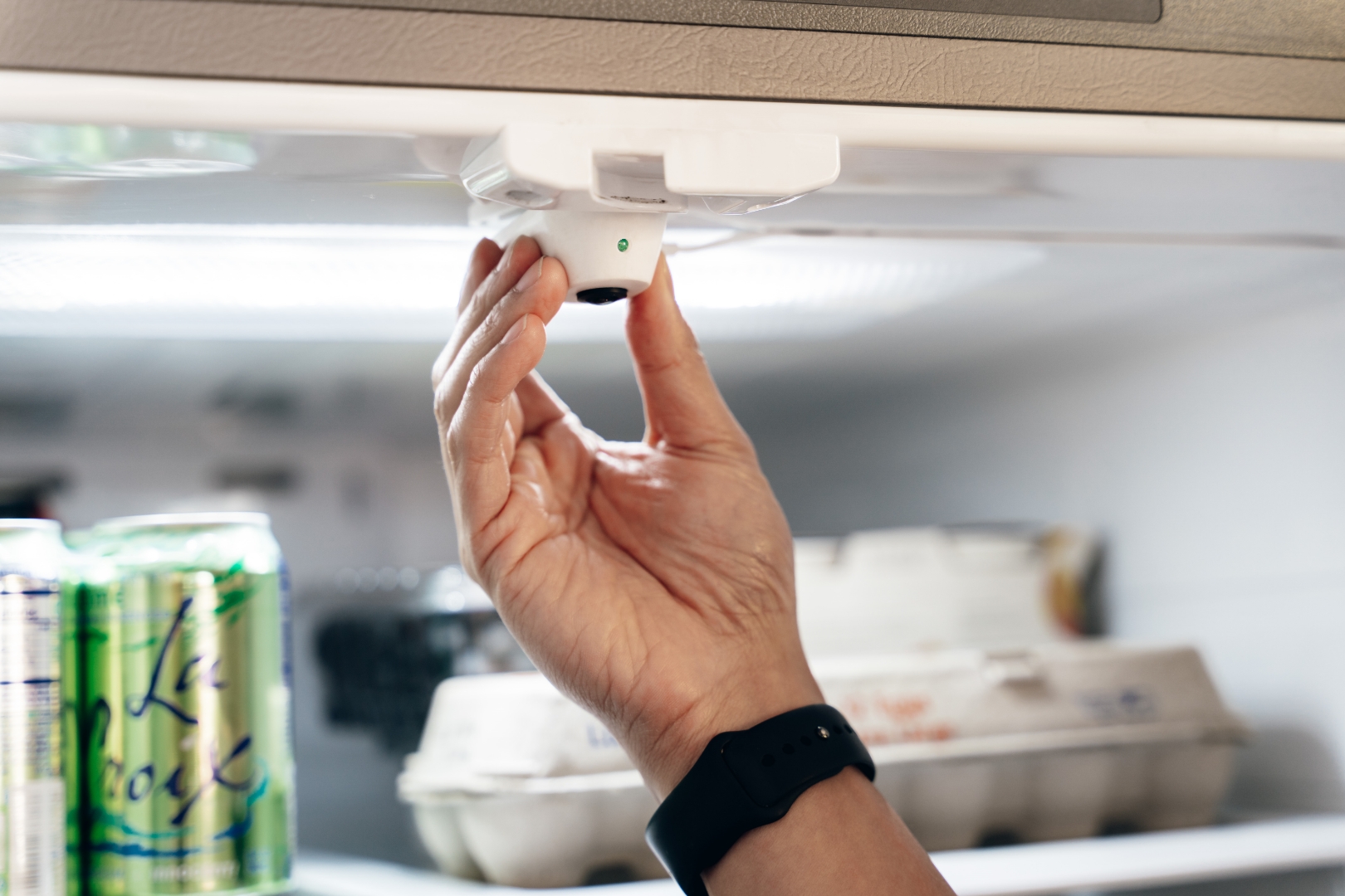 Upgrade Your Kitchen With the Pallate Smart Fridge System