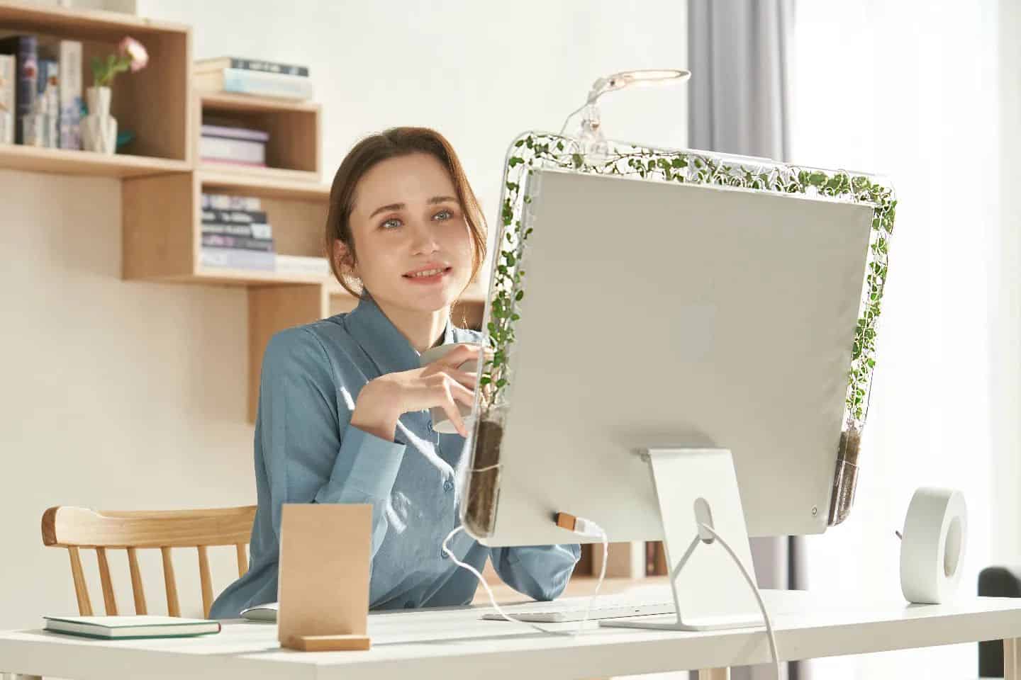 Seeing Green? Monitree Brings Living Plants to Your Desktop Monitor