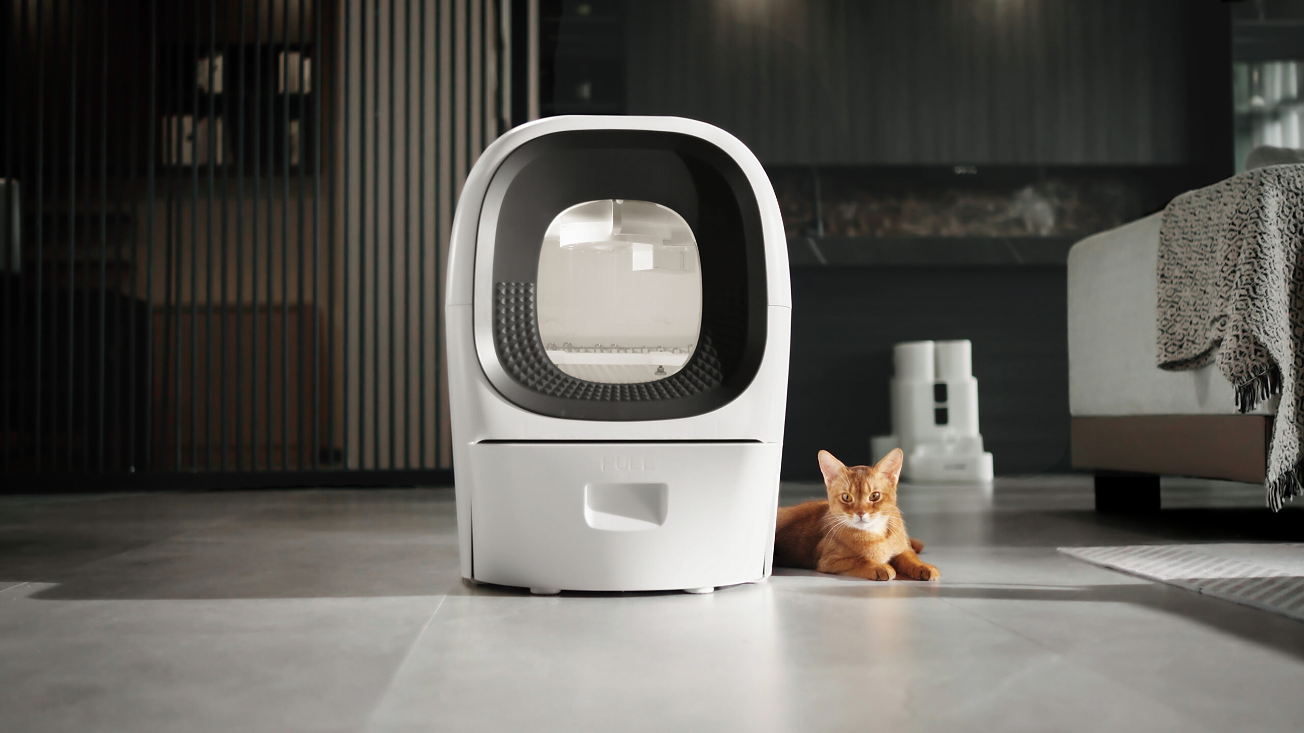 Kitty Litter No More: Real Scooper's Game-Changing Tech