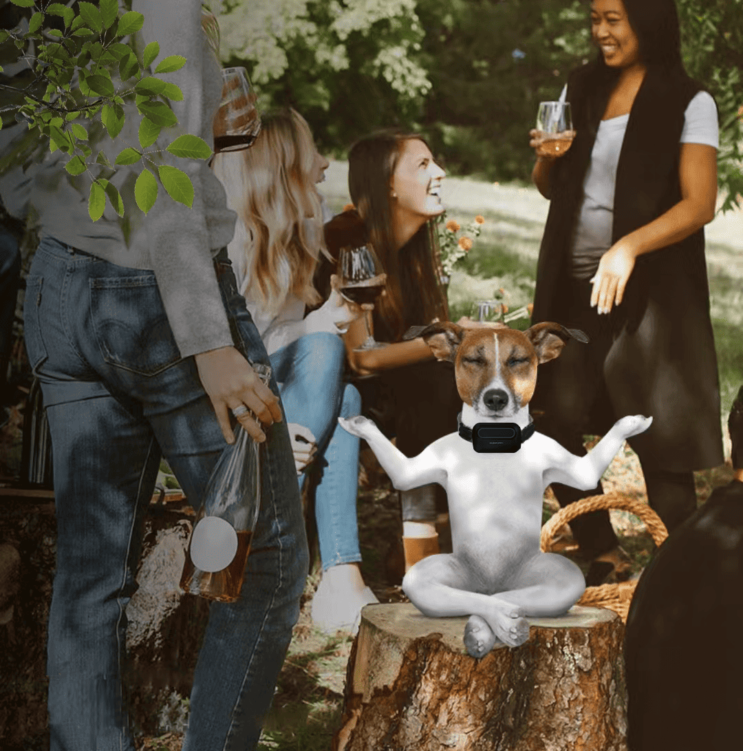 The Collar That Speaks Dog: HushPuppy